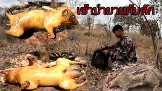 เดินทางเข้าป่าคนเดียว/ເຂົ່າປ່າຍາມກັບດັກຄົນດຽ່ວปลา