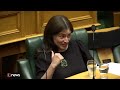 how new zealand’s parliament became a viral laughingstock