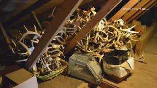 Man convicted in deer poaching case spanning several years