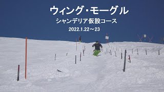 ｳｨﾝｸﾞ･ﾓｰｸﾞﾙ 2022-1-22~23