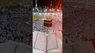 ఖురాన్ జ్ఞానం ఎందుకో తెలుసా😱😱 #quran #quranrelated #prophetmuhammad #ytviral @Letssharelearnislam