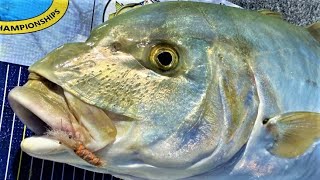 Flyfishing Shallow Flats for Golden Trevally