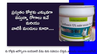 కోళ్ళకు ప్రస్తుతం ఎక్కువగా వస్తున్నా రోగాలు ఇవే వాటికీ వాడాల్సిన మందులు ఇవి....