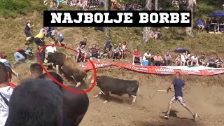 THE BEST LEGENDARY BULL FIGHTS