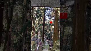 福王神社⛩️ 色々な龍神さんが祀られていますからやはり龍神さん沢山いますね。