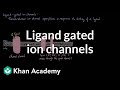 Ligand Gated Ion Channels | Nervous system physiology | NCLEX-RN | Khan Academy