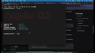 02 01 create angular project
