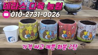 👩‍🌾 가격 싸고 예쁜 화분 2탄 2️⃣🪴 ㅣ 테라스 다육 농원/010-2731-0026