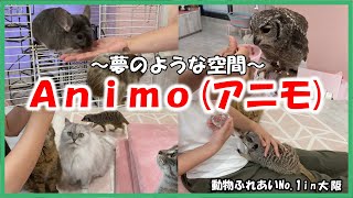 【Animo(アニモ)】動物ふれあいNo.1in大阪～エサあげてみた～