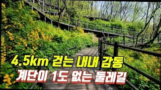 🚍도심속 환상의 숲속 산책길!👨‍🦽‍➡️무려 4.5km의 무장애길 트레킹코스/대중교통 트레깅 여행