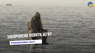 На Тернопільщині діє заборона на вилов щуки