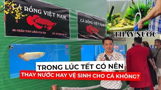 Quan niệm TẾT có nên vệ sinh, thay nước HỒ CÁ hay không ? Thay thế nào cho đúng cách #carongvietnam