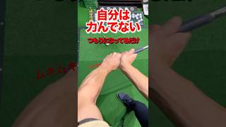 【グリップ 】圧はひよこを握る⁈脱力で超効率インパクト！握りを柔らかくだが基本のグリップ で鷲掴みはダメ。クラブを支える力は必要です。前腕を超脱力 #shorts #ゴルフグリップ  #ゴルフ力み