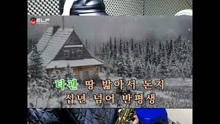 나그네 설움디스코   백년설 2021 12 30 15 04 06 051