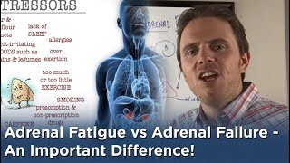 Adrenal Fatigue vs Adrenal Failure - An Important Difference!