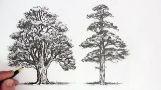 How to Draw Trees