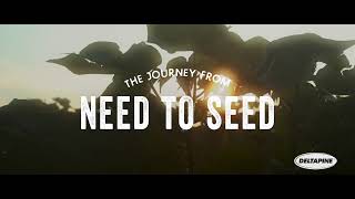 Journey From Need to Seed | Breeding