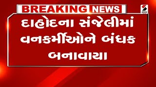 Dahod News | દાહોદના સંજેલીમાં વનકર્મીઓને બંધક બનાવાયા | Sanjeli | Gujarat