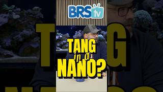 Do NOT Put a Tang in Your Nano Reef! #brstv