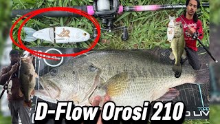 This Korean GLIDEBAIT Catches So Many BIG FISH (Bait breakdown+ C2C’s)