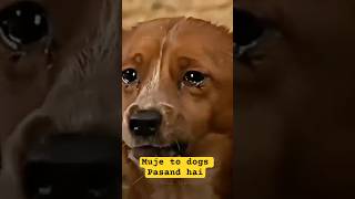 Real Sadness No #sadness #doglove #crying #sadmusic #love #animals #dogcare #doglife