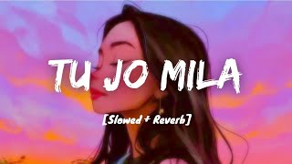 Tu Jo Mila (Slowed + Reverb) / chill /refreshning / calm / peaceful