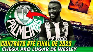 PALMEIRAS AGIU NA SURDINA PRA FECHAR NEGOCIO SURPRESA! NINGUEM ESPERAVA MENDOZA! CONTRATO ATÉ 2023!