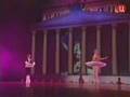 Evgenia Obraztsova & Vladimir Shklyarov - Sleeping Beauty