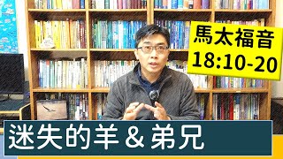 2021.02.27 活潑的生命 馬太福音18:10-20 逐節講解【迷失的羊＆弟兄】