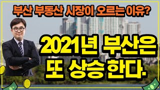 2021년 부산은 또 상승한다. 부산 부동산시장이 오르는 이유?