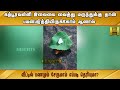 கற்பூரவள்ளி இலையை வைத்து மருந்துக்கு தான் பயன்படுத்தியிருக்கோம் ஆனால் வீட்டில் பணமும்