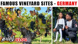 ஜெர்மனியின் பிரபலமான வைன் தோட்டம் | Famous vineyard sites - Germany | Iceland Tamilan | Tamilvox