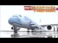 世界最大の“ウミガメ”飛来！日本の航空会社では初 19 03 21