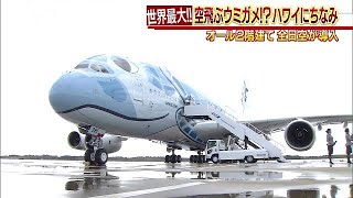 世界最大の“ウミガメ”飛来！日本の航空会社では初(19/03/21)