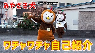 【みやざき犬】ワチャワチャ自己紹介：ブルブル振動とかロボむぅとか (201707宮崎市)