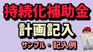 持続化補助金・計画書 記入例・申請3月14日まで【中小企業診断士YouTuber マキノヤ先生】第1681回