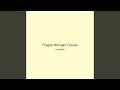 Fragile Midnight Clouds