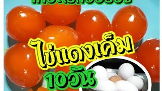 #ทำไข่แดงเค็ม10วันไว้ปรุงยำ#ต้ม#ทอด#ทำอะไรก้ออร่อย😋😋🐔