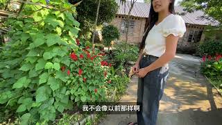 前妻三天两头来我家无理取闹，自己出轨了还想要我跟她复婚