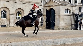 Queen’s Guard Horse Goes Crazy