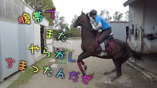 あーこっこ乗馬日記〜悲報！やっちまったぜ、人馬転で怪我したぜ