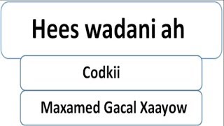 Hees Wadani ah Maxamed Gacal Xaayow