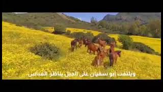 إسلام أبو سفيان بصوت بدر المشاري + اهات اسلامية (الفيديو ستعيده أكثر من مرة ♥)