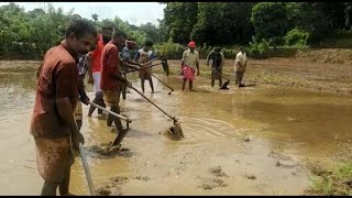 കൈകളിൽ ഞാറ്റടിയും മൺവെട്ടിയും ഭദ്രം; പുതുവഴി തേടി കലാകാരന്മാർ | Ottappalam palappuram |  Maddalam ar