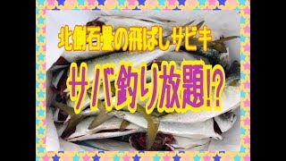 fishingmax芦屋　サバ爆釣！釣り放題♪