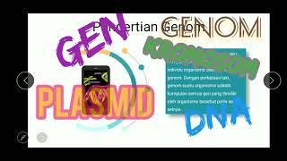 Perbedaan Kromosom, DNA, Gen, Genom, dan Plasmid