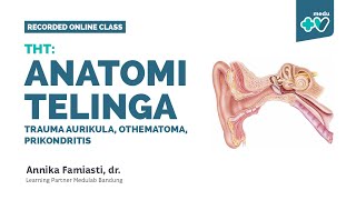 THT: Anatomi Telinga, Trauma Aurikula, Othematoma, Perikondritis | Medulab