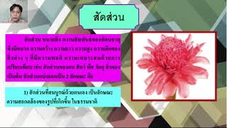 องค์ประกอบศิลป์