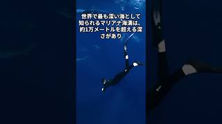 驚きの生き物雑学3