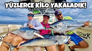 Fishing Frenzy On The Water!! / Ebro Delta Abundance